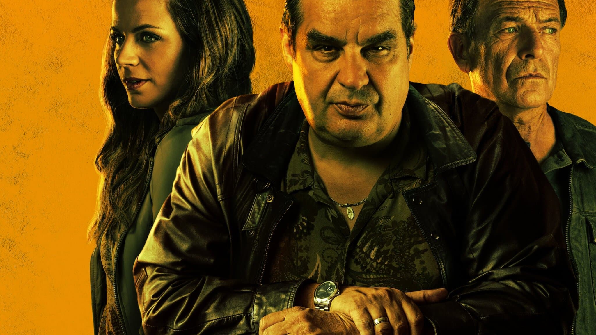 Ferry: La serie Online
